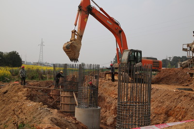 東坡區成立保障專組，為項目建設“滿血復活”注入強勁動力